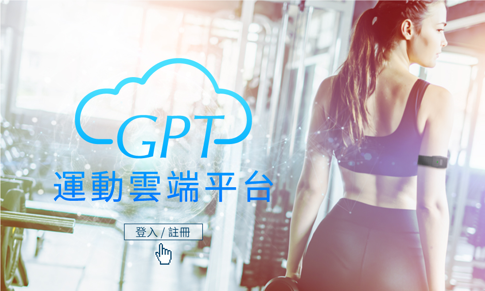 gptfit 入口